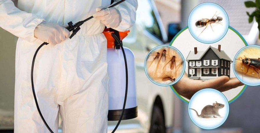 Ereğli Böcek İlaçlama