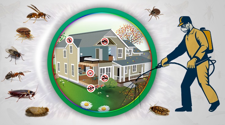 Ereğli Böcek İlaçlama