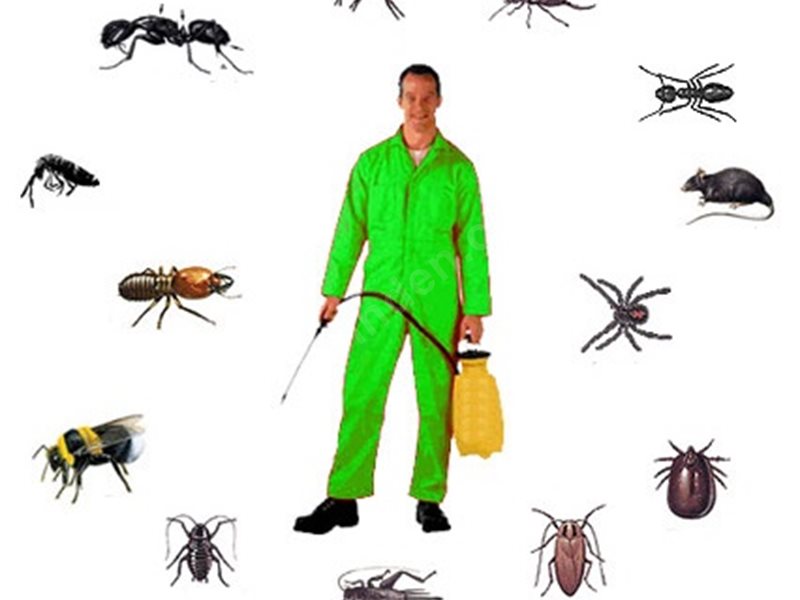 Ereğli Böcek İlaçlama